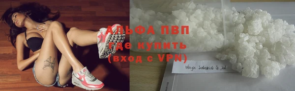 прущая мука Верея