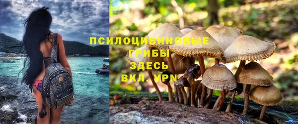 ALPHA-PVP Остров