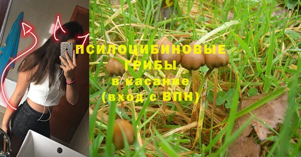 прущая мука Верея