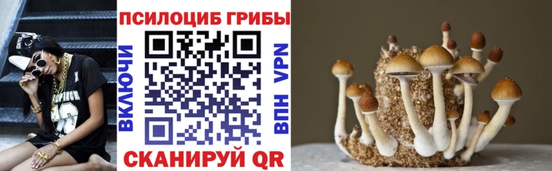 Псилоцибиновые грибы мицелий  Поворино 